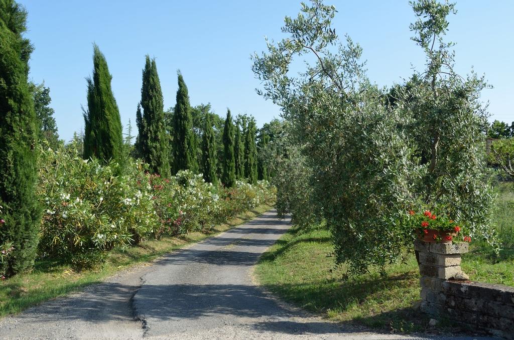 Agriturismo Rosa Dei Venti Pomarance Exteriör bild