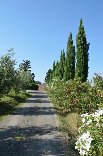 Agriturismo Rosa Dei Venti Pomarance Exteriör bild